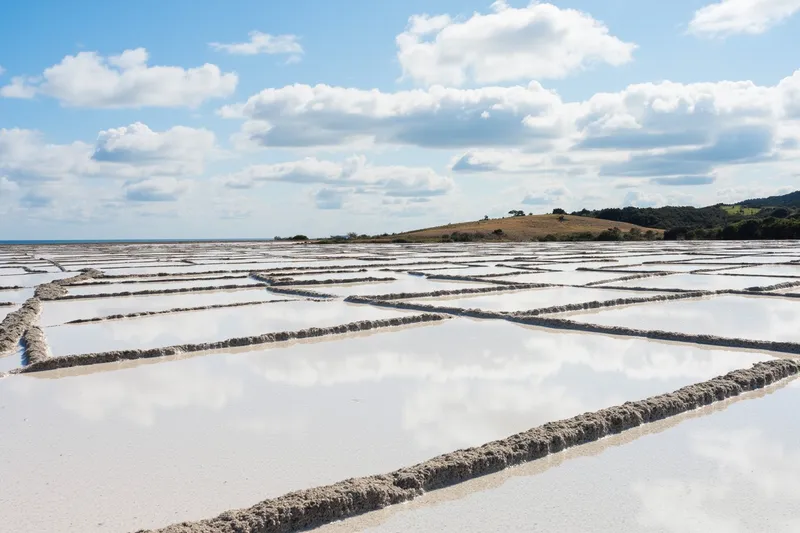 Shallow rectangular salt pans at Ako Salt Fields in Hyogo, Japan, reflecting the sky.